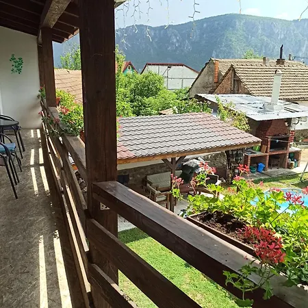 民宿 Casa Rodica 杜博瓦乡